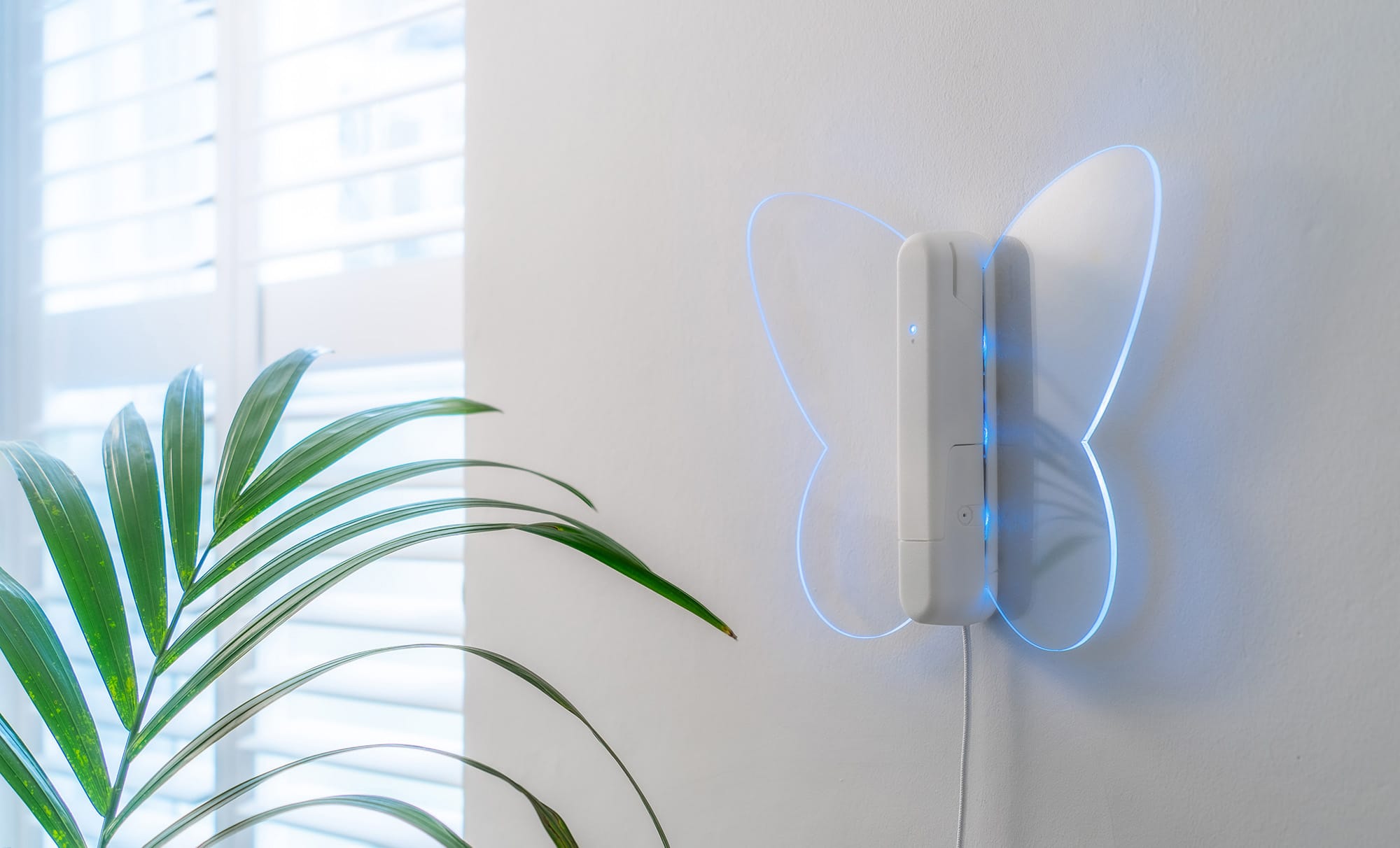 Butterfly - Indoor Air Quality Monitor